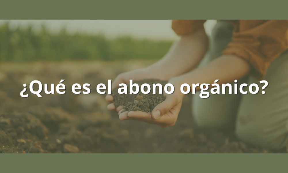 ¿Qué es el abono orgánico?