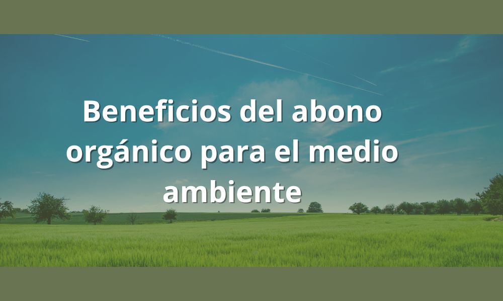 Beneficios del abono orgánico en el medio ambiente