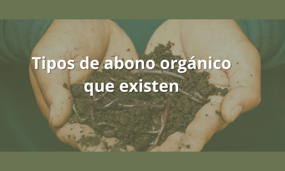 Tipos de abono orgánico